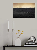 Savannah Burning Poster och Canvastavla