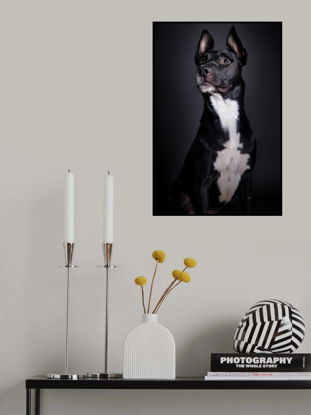 Pebbles Poster och Canvastavla