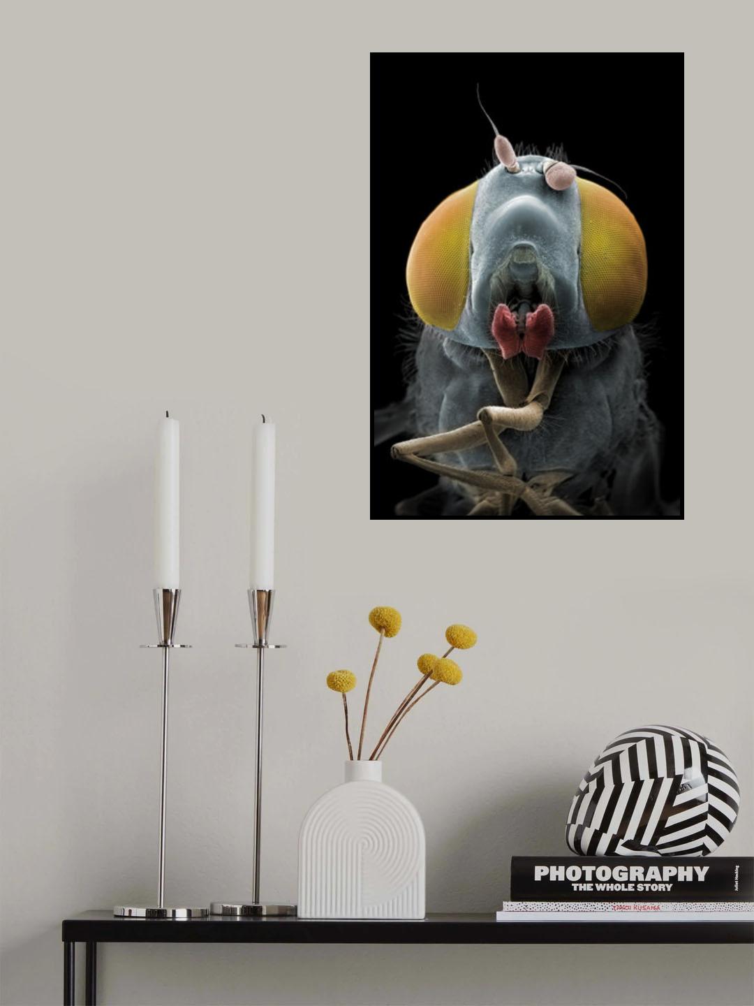 Irresistible Poster och Canvastavla