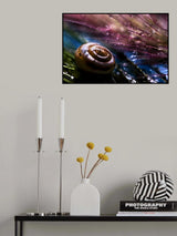 Poster och Canvastavla