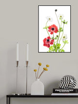 Spring Anemone Family Poster och Canvastavla