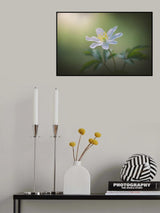 Simplicity Poster och Canvastavla