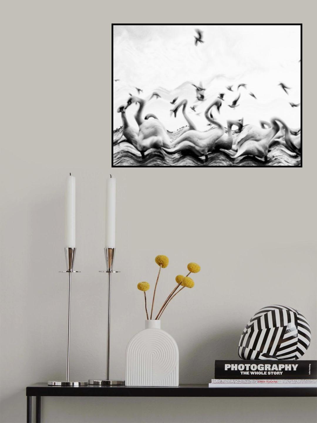 Swans waves Poster och Canvastavla