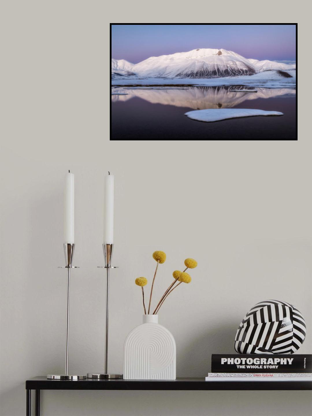 Viola Poster och Canvastavla
