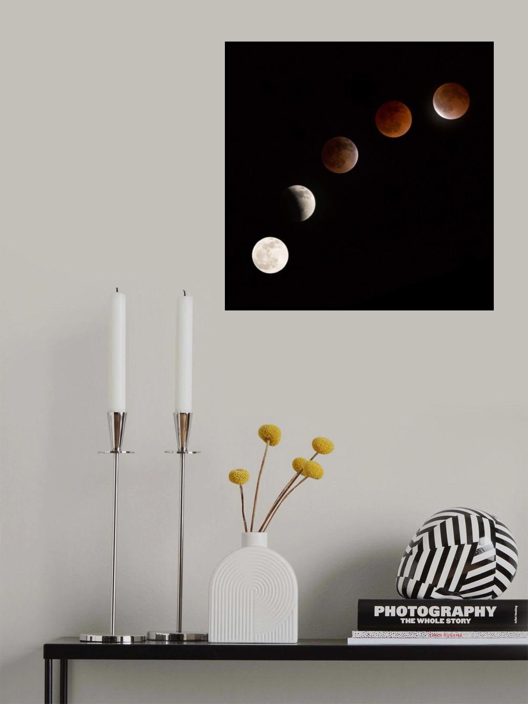Moon at play Poster och Canvastavla
