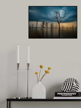 The death valley Poster och Canvastavla