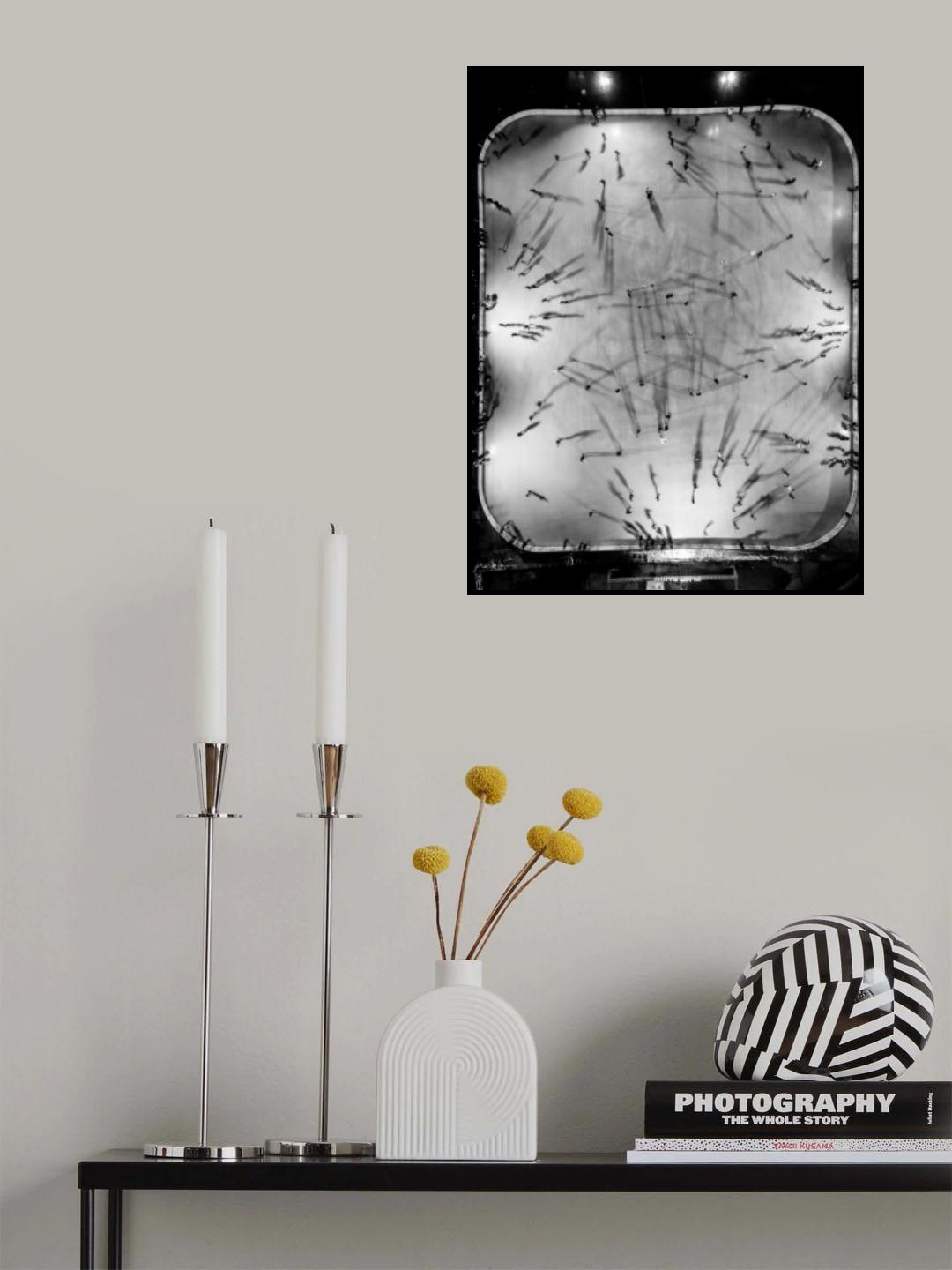 Dancing Shadows Poster och Canvastavla