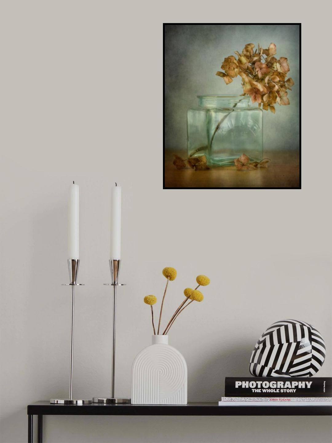 Hydrangea Poster och Canvastavla