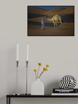 desert camel Poster och Canvastavla
