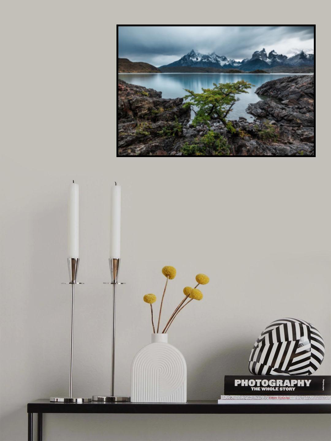 The Power of clam Poster och Canvastavla