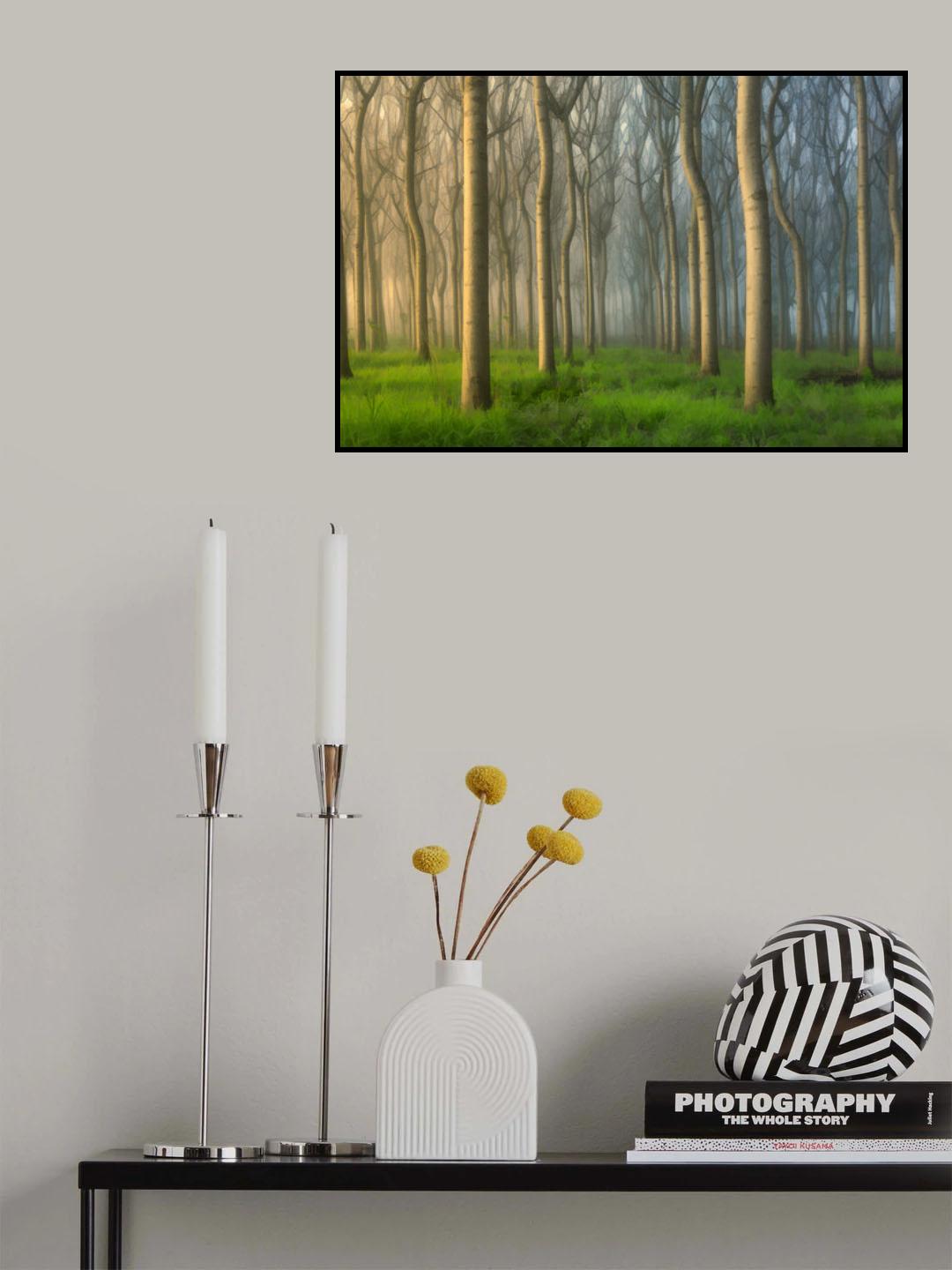 Paulownia Tree Poster och Canvastavla