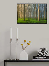 Paulownia Tree Poster och Canvastavla