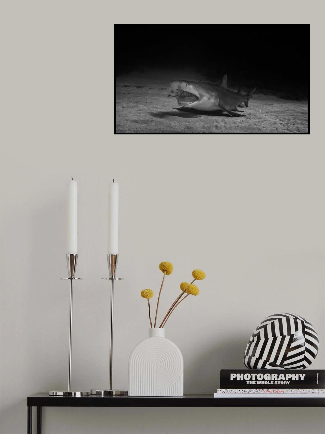 Shark is  ready for it's dentist Poster och Canvastavla