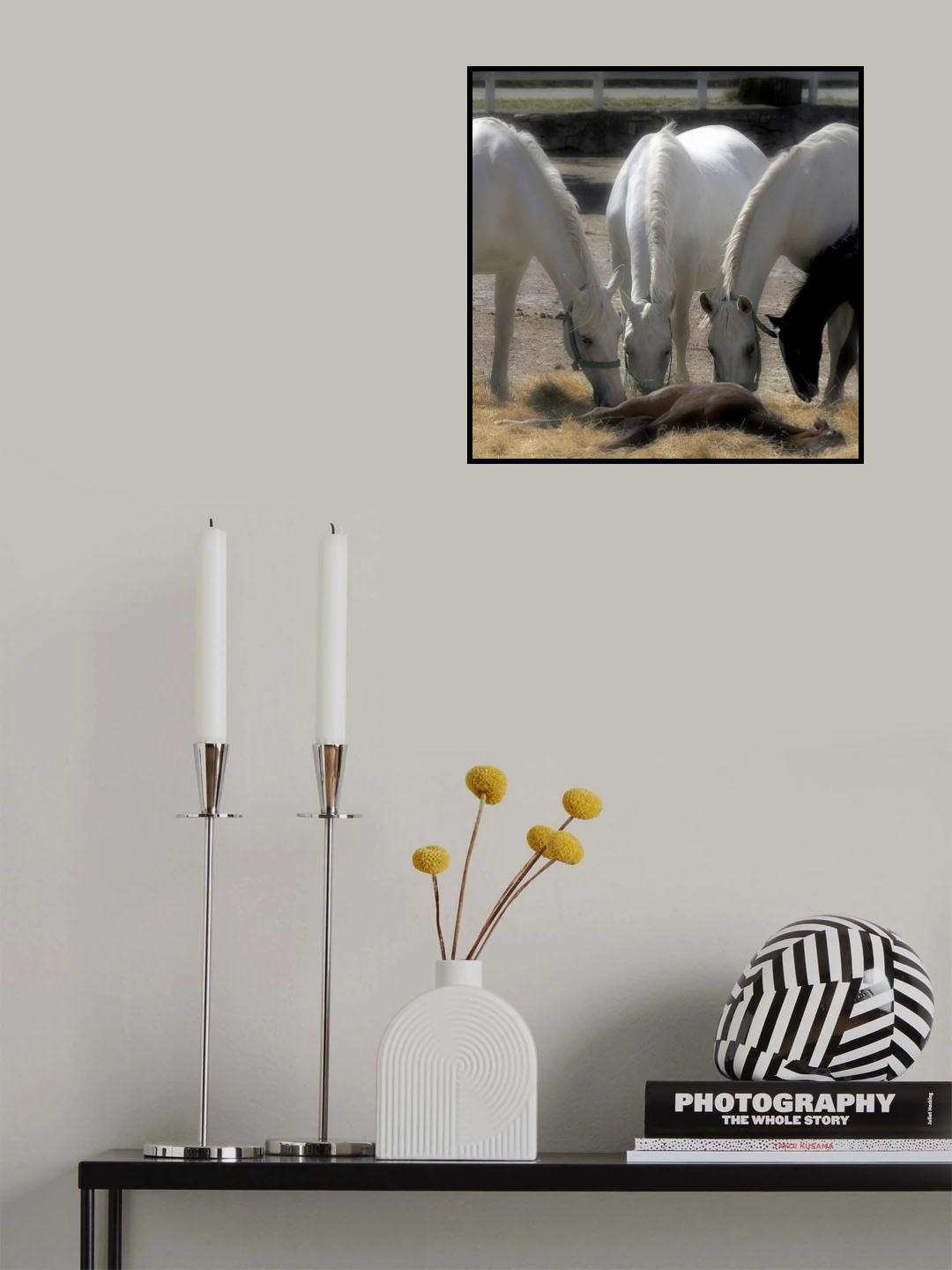 Needeng a rest Poster och Canvastavla