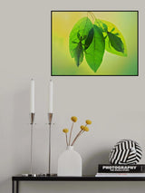 Leaf insects 2 Poster och Canvastavla