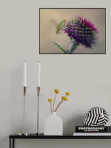 \..<./*... Poster och Canvastavla