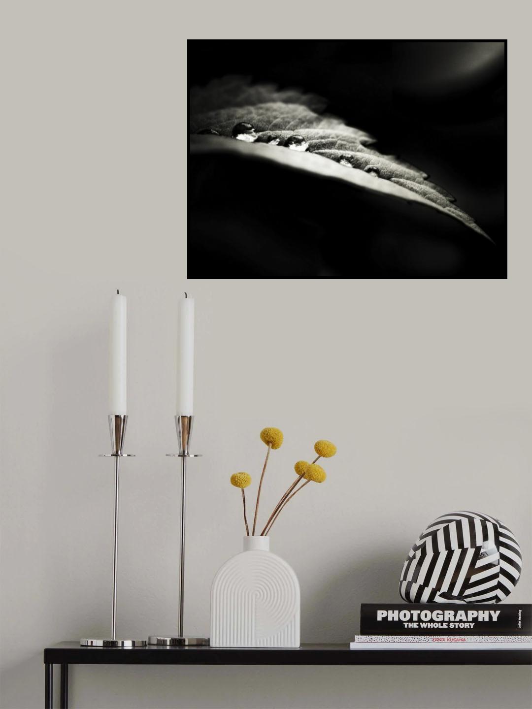 Perles Nocturnes Poster och Canvastavla