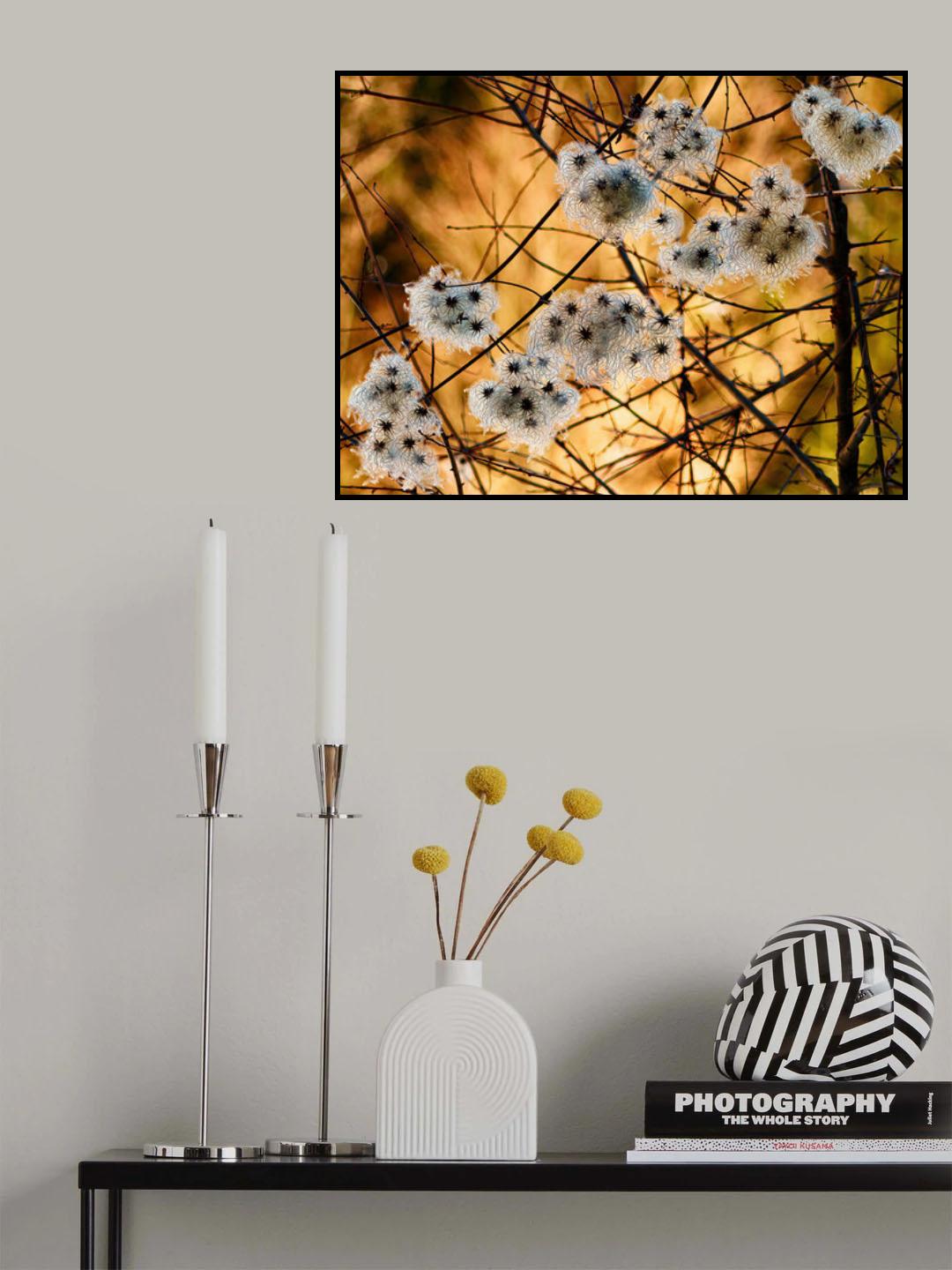 fluffies Poster och Canvastavla