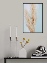 Pampas Grass Blue 02 Poster och Canvastavla