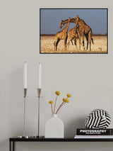 Trio Poster och Canvastavla