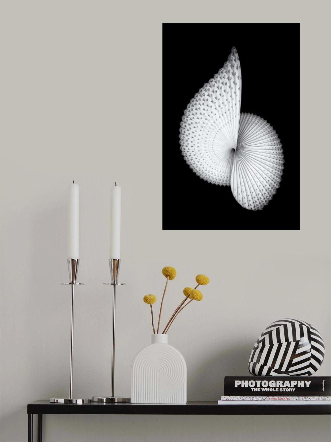 Nautilus-like Sculpture Poster och Canvastavla