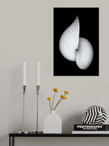 Nautilus-like Sculpture Poster och Canvastavla