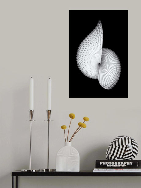 Nautilus-like Sculpture Poster och Canvastavla