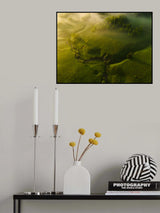 Poster och Canvastavla