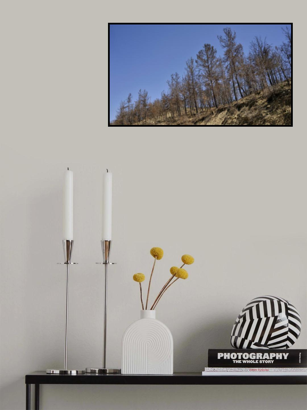 image of a forest after a fire Poster och Canvastavla