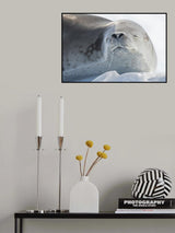 Relaxing season Poster och Canvastavla