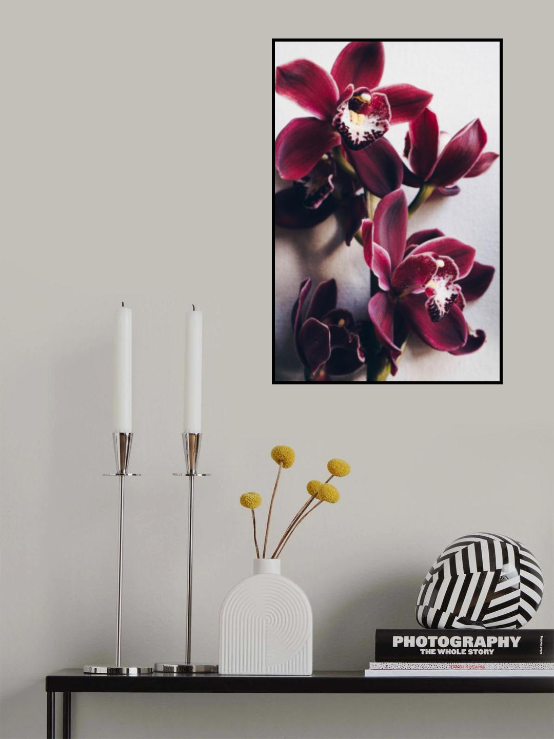 Red Cymbidium Orchid Poster och Canvastavla
