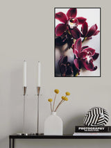 Red Cymbidium Orchid Poster och Canvastavla