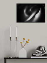 Poster och Canvastavla