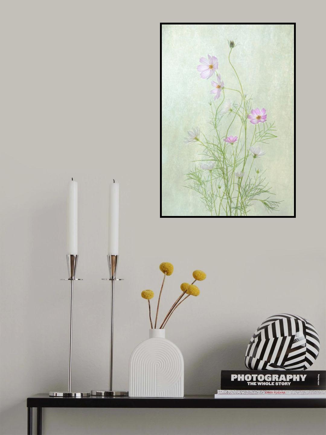 Cosmos Poster och Canvastavla