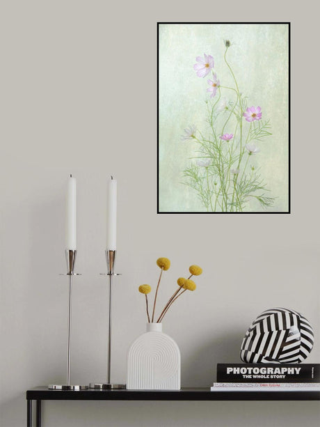 Cosmos Poster och Canvastavla