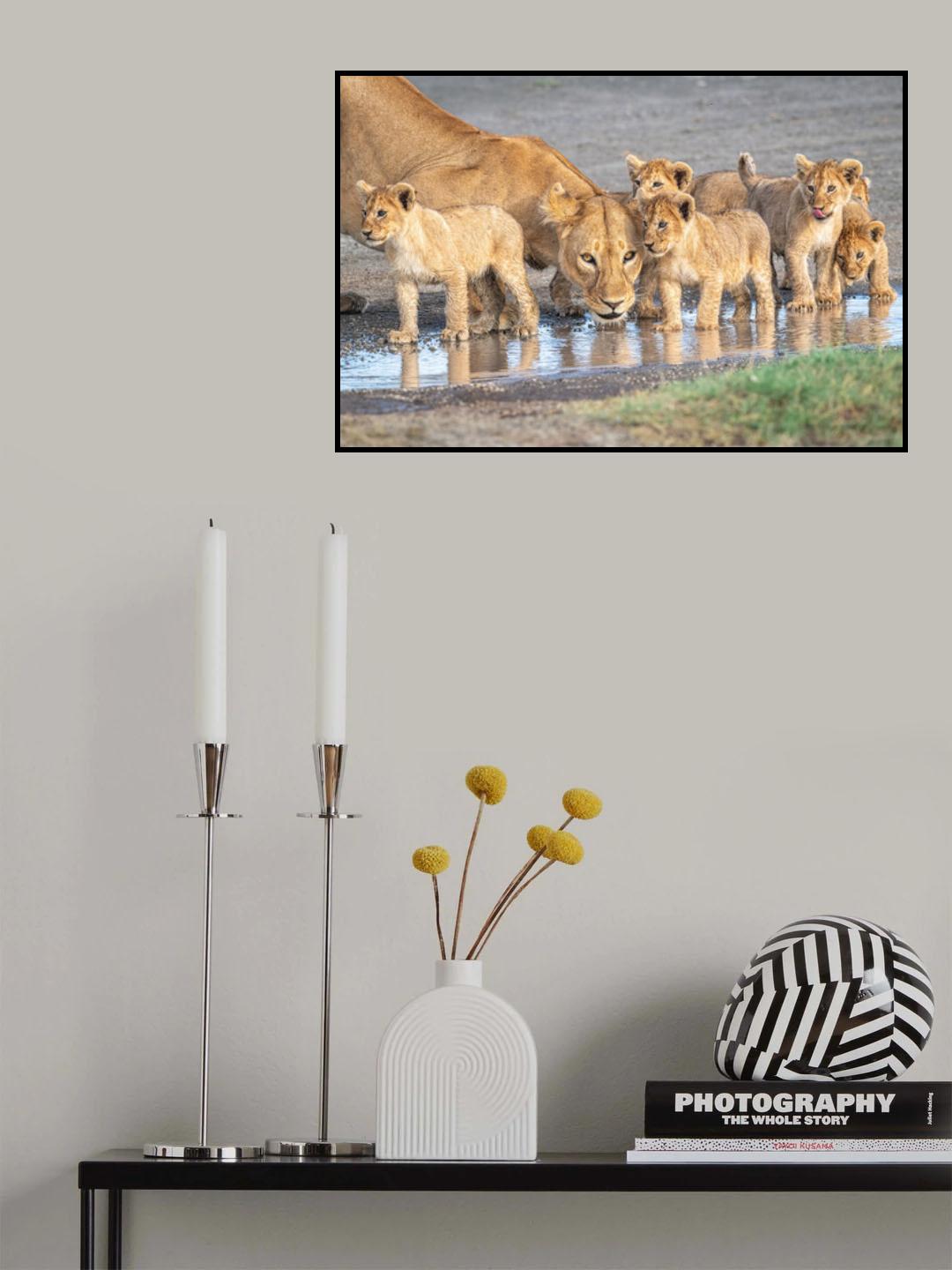 Wariness at the water hole Poster och Canvastavla