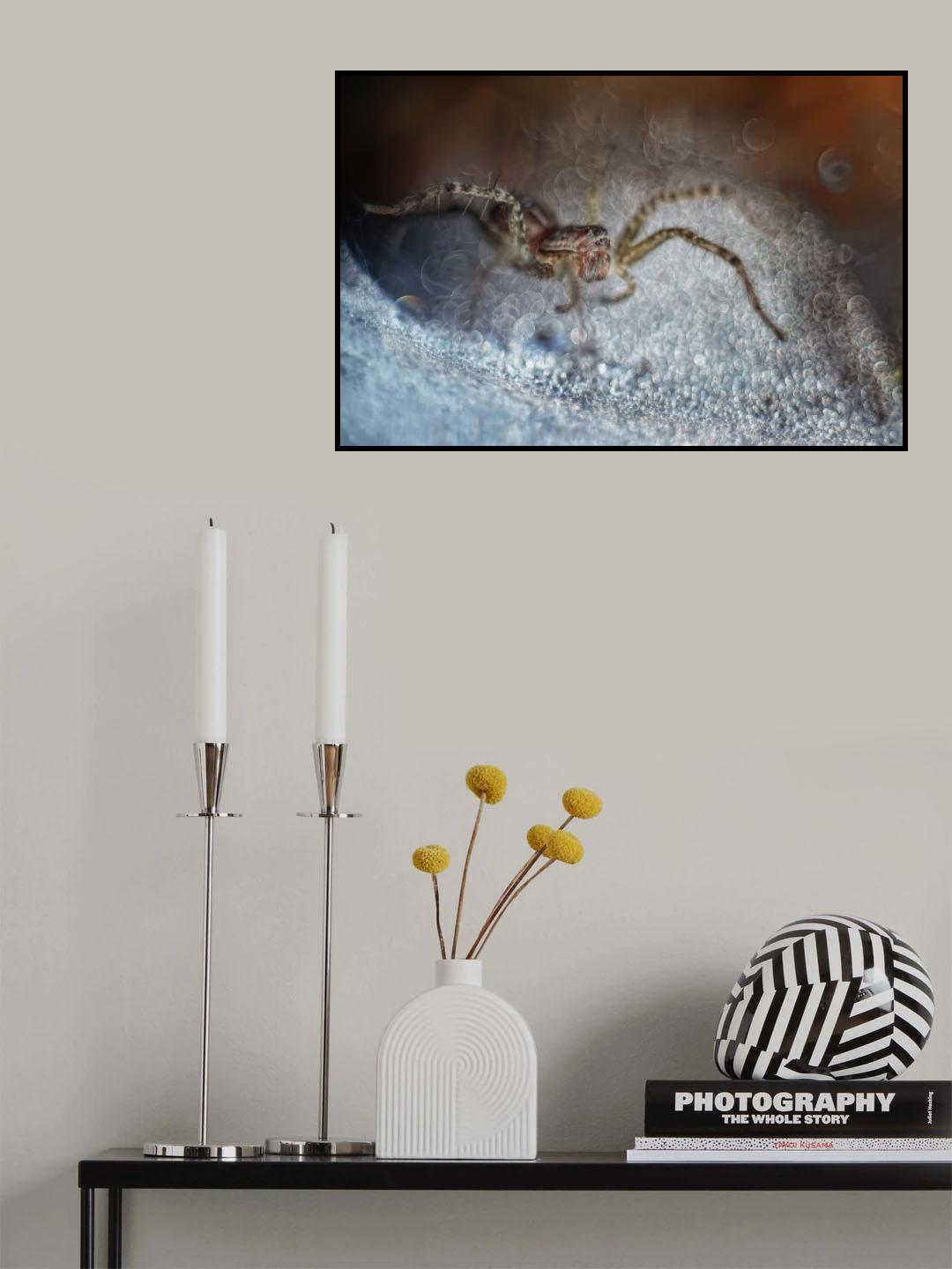 Finding The Light Poster och Canvastavla