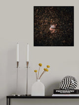 unawakened Poster och Canvastavla