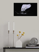 I see you Poster och Canvastavla