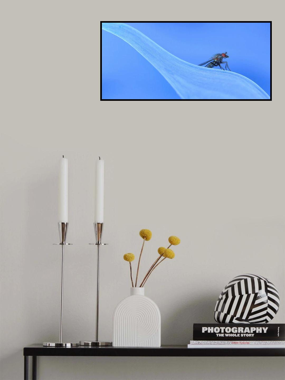 Splash out... Poster och Canvastavla