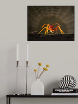 danger Poster och Canvastavla