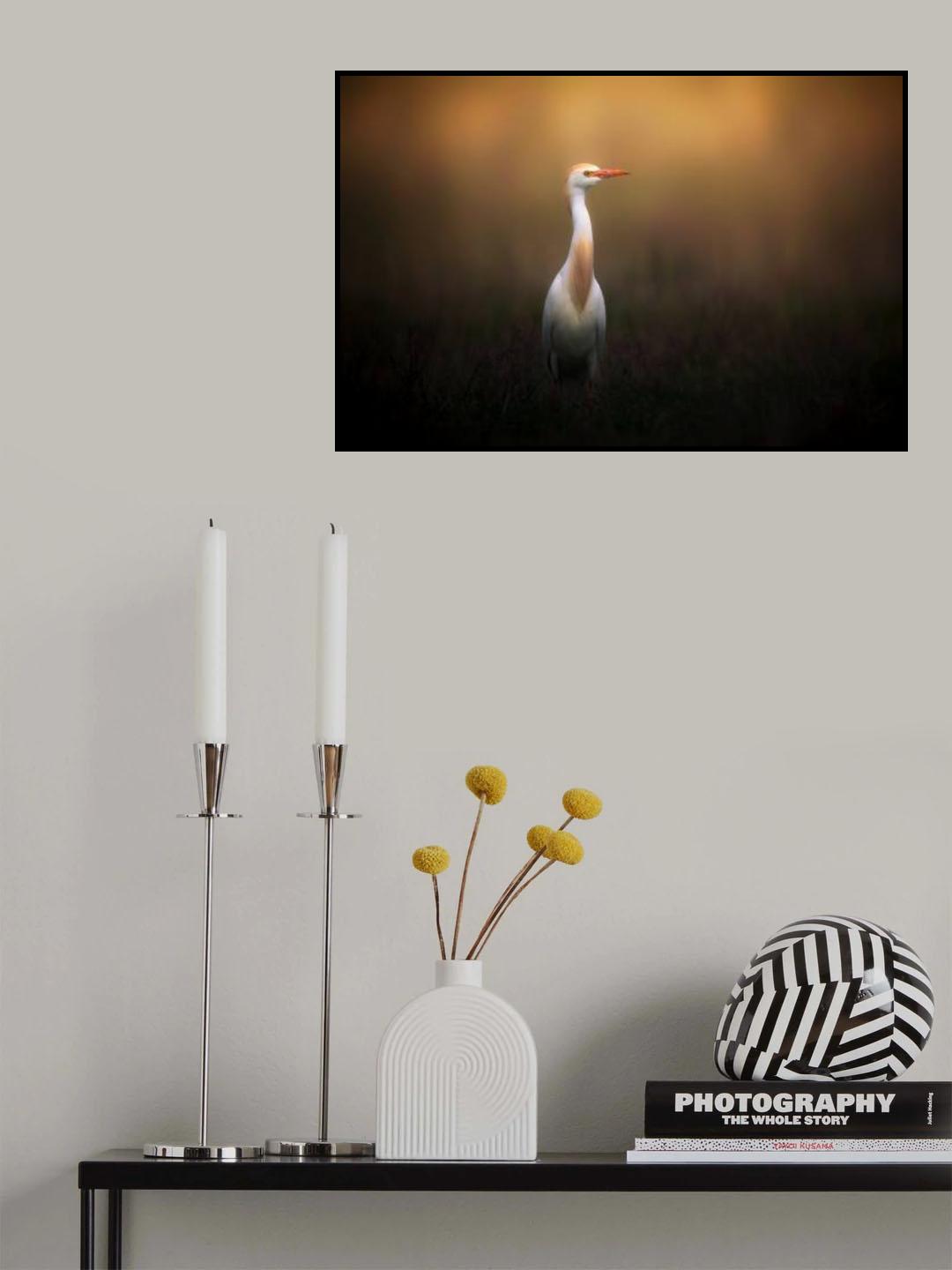 New Clothing Poster och Canvastavla