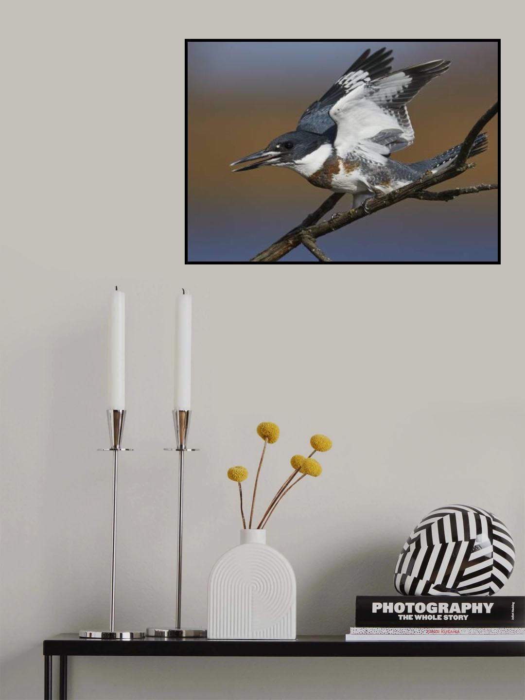 Take off Poster och Canvastavla
