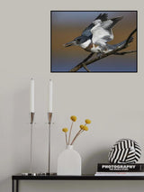 Take off Poster och Canvastavla