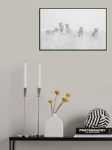 Lions Poster och Canvastavla