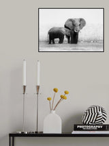 Mother and Calf Elephants Poster och Canvastavla