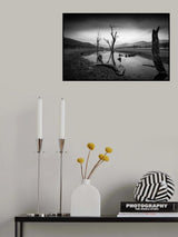 Lost river Poster och Canvastavla