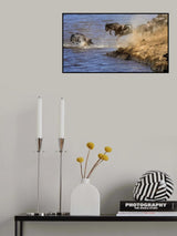 Great Migration Poster och Canvastavla