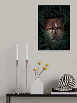 Peaknose Cat In Ferns Poster och Canvastavla