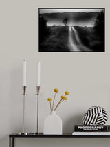 Poster och Canvastavla